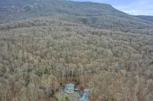 308 Brush Leaf Ln, Mount Jackson, VA 22842 - Photo 54