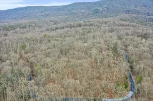 308 Brush Leaf Ln, Mount Jackson, VA 22842 - Photo 62