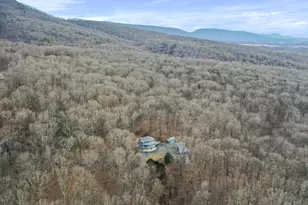 308 Brush Leaf Ln, Mount Jackson, VA 22842 - Photo 58