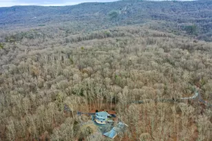 308 Brush Leaf Ln, Mount Jackson, VA 22842 - Photo 64