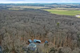 308 Brush Leaf Ln, Mount Jackson, VA 22842 - Photo 60