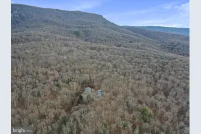 308 Brush Leaf Lane, Mount Jackson, VA 22842 - Photo 56