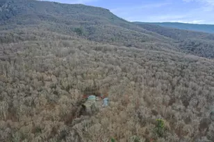 308 Brush Leaf Ln, Mount Jackson, VA 22842 - Photo 56