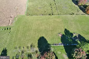 8289 Back Rd, Maurertown, VA 22644 - Photo 16