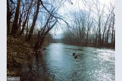 143 Montvue Avenue, Mount Jackson, VA 22842 - Photo 4