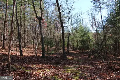 Rolly Road, Mount Jackson, VA 22842 - Photo 20