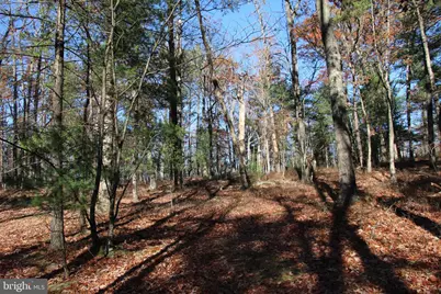 Rolly Road, Mount Jackson, VA 22842 - Photo 6