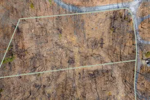 0 Hilltop / Mockingbird Ln Lot 19, Mount Jackson, VA 22842 - Photo 1