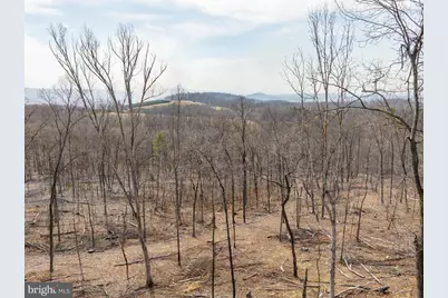 0 Mockingbird Lane- Lot 21, Mount Jackson, VA 22842 - Photo 1