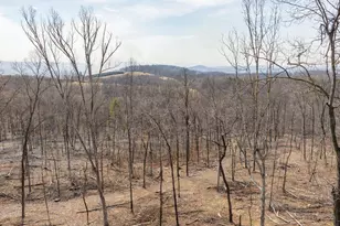 0 Mockingbird Ln Lot 21, Mount Jackson, VA 22842 - Photo 1