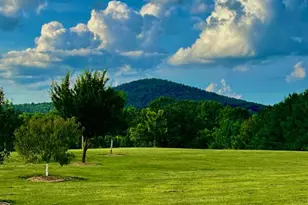 1934 Quicksburg Rd, Quicksburg, VA 22847 - Photo 100