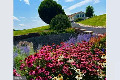 1934 Quicksburg Road, Quicksburg, VA 22847 - Photo 104