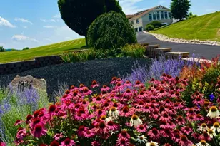 1934 Quicksburg Rd, Quicksburg, VA 22847 - Photo 104