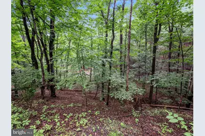 Valley View Road, Basye, VA 22810 - Photo 6