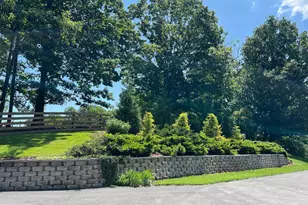 1483 Tea Berry Rd, Toms Brook, VA 22660 - Photo 4