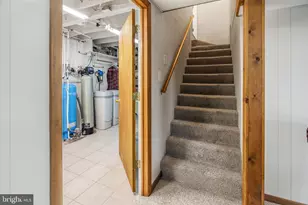 1483 Tea Berry Rd, Toms Brook, VA 22660 - Photo 38