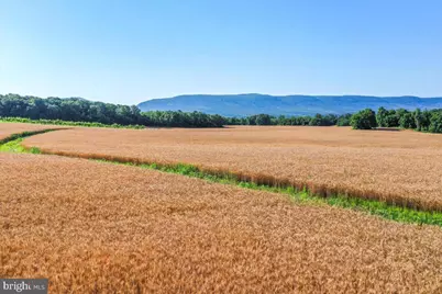 S Ox Rd Edinburg, Edinburg, VA 22824 - Photo 12