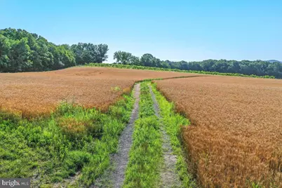 S Ox Rd Edinburg, Edinburg, VA 22824 - Photo 22