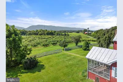 3659 S Ox Road, Edinburg, VA 22824 - Photo 64