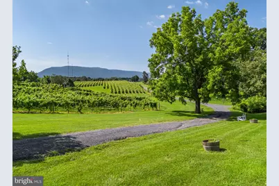 3659 S Ox Road, Edinburg, VA 22824 - Photo 66