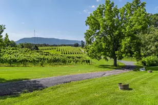 3659 S Ox Rd, Edinburg, VA 22824 - Photo 66