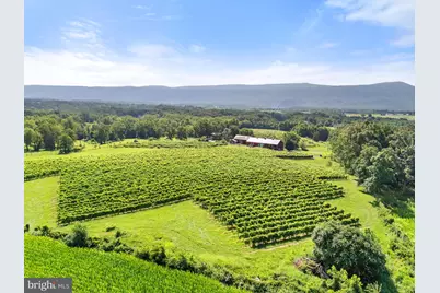 3659 S Ox Road, Edinburg, VA 22824 - Photo 56