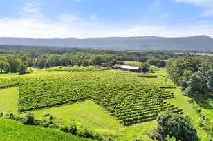 3659 S Ox Rd, Edinburg, VA 22824 - Photo 56