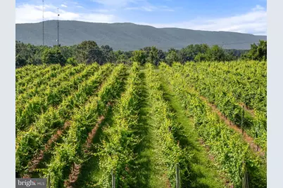 3659 S Ox Road, Edinburg, VA 22824 - Photo 62