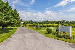 3659 S Ox Rd, Edinburg, VA 22824 - Photo 6