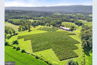 3659 S Ox Road, Edinburg, VA 22824 - Photo 54