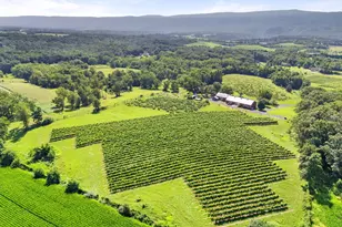 3659 S Ox Rd, Edinburg, VA 22824 - Photo 54