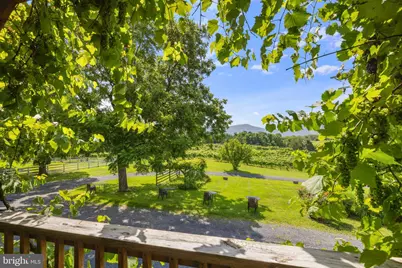 3659 S Ox Road, Edinburg, VA 22824 - Photo 22