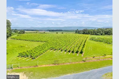 3659 S Ox Road, Edinburg, VA 22824 - Photo 58