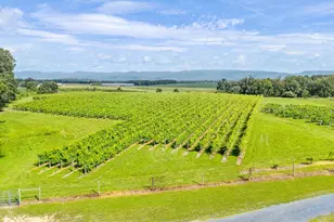 3659 S Ox Rd, Edinburg, VA 22824 - Photo 58