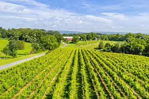 3659 S Ox Rd, Edinburg, VA 22824 - Photo 60