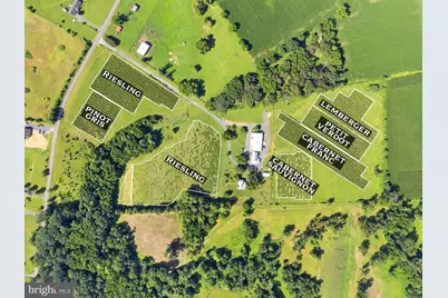 3659 S Ox Road, Edinburg, VA 22824 - Photo 52