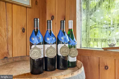 3659 S Ox Road, Edinburg, VA 22824 - Photo 24