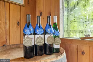 3659 S Ox Rd, Edinburg, VA 22824 - Photo 24