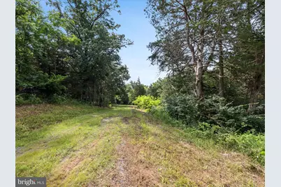 Lot 20 Hampstead Court, Maurertown, VA 22644 - Photo 6