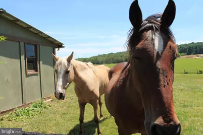 1615 Pleasant View Road, Mount Jackson, VA 22842 - Photo 106