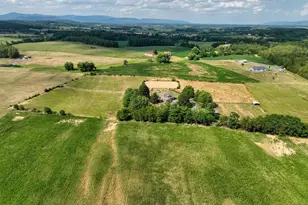 1615 Pleasant View Rd, Mount Jackson, VA 22842 - Photo 110