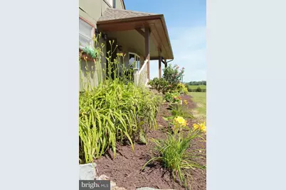1615 Pleasant View Road, Mount Jackson, VA 22842 - Photo 14
