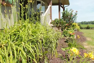 1615 Pleasant View Rd, Mount Jackson, VA 22842 - Photo 14