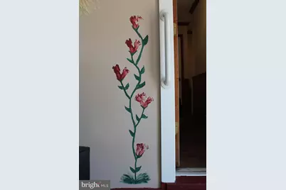 1615 Pleasant View Road, Mount Jackson, VA 22842 - Photo 58