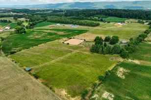 1615 Pleasant View Rd, Mount Jackson, VA 22842 - Photo 120