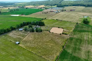 1615 Pleasant View Rd, Mount Jackson, VA 22842 - Photo 114