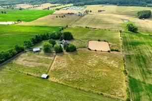 1615 Pleasant View Rd, Mount Jackson, VA 22842 - Photo 108