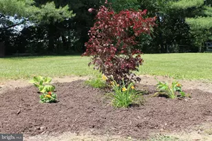 1615 Pleasant View Rd, Mount Jackson, VA 22842 - Photo 100