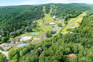 139 Maple Ave, Mount Jackson, VA 22842 - Photo 60