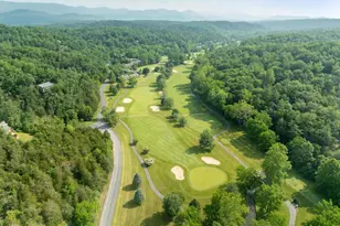 139 Maple Ave, Mount Jackson, VA 22842 - Photo 62